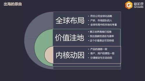 教育出海的荆棘之路 技术产品型公司的海外挑战与反思